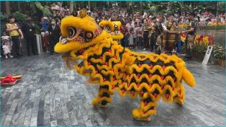 Chinese New Year 2024  Lion Dance Performance CNY at Changi Jewel Singapore [upl. by Litman]