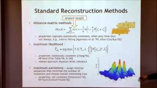 Phylogenetics [upl. by Beesley685]