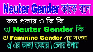 Neuter Gender কাকে বলে  কত প্রকার ও কি কি । Neuter Gender কি । চেনার উপায় । ব্যবহার। এবং এর সংজ্ঞা [upl. by Lehcem429]