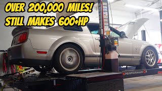 I cant believe this 210000 mile Shelby GT500 can still pull this HARD bought the cheapest in USA [upl. by Lebasi281]