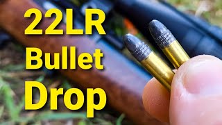 22LR Bullet Drop  Demonstrated and Explained [upl. by Armalda]