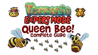 Terraria Queen Bee Expert Guide Normal too Drops Boss Fight How to Summon Abeemination [upl. by Remled824]