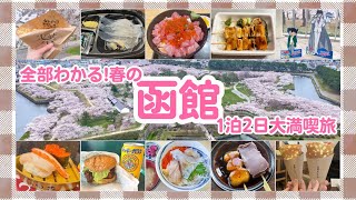 【函館】春の函館🌸王道グルメamp夜景amp桜全部入り【北海道】 [upl. by Annoerb]