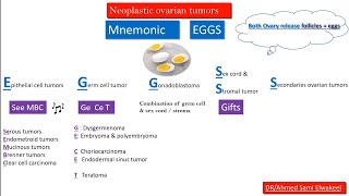 Neoplastic and non neoplastic ovarian cysts mnemonics  ovarian cysts made easy [upl. by Ylesara247]