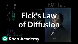 Ficks law of diffusion  Respiratory system physiology  NCLEXRN  Khan Academy [upl. by Ahsimat]