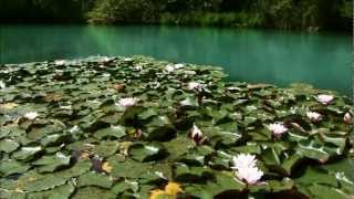 Naturerlebnis Kärnten Naturpark Weissensee [upl. by Aicile]