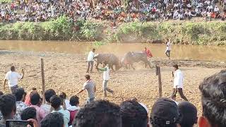 sikandar vs veer bajrang nagjhiri hele ki takkar [upl. by Matthus]