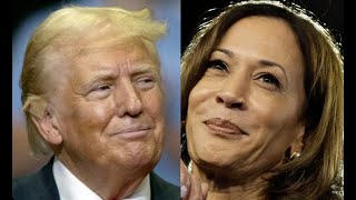 Noticiero 5pm Las últimas encuestas ¿Quién gana entre Harris y Trump [upl. by Latoye]