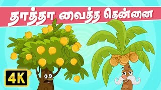 தாத்தா வைத்த தென்னை Thatha Vaitha Thennai  Chellame Chellam  Tamil Rhymes [upl. by Collin]