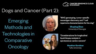 Dogs and Cancer Part 2 Emerging Methods and Technologies in Comparative Oncology [upl. by Egdirdle]