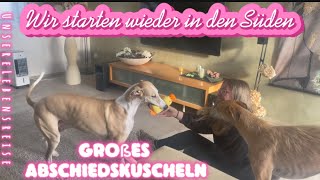 Wir leben Vollzeit im Grand Alpa 🚐unsere Reise geht weiter 🙏❤️🚐☀️vlog hunde vanlife Wohnmobil [upl. by Dijam]