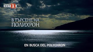 EN BUSCA DEL POLYCHRON [upl. by Spracklen]