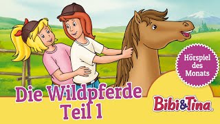 Bibi und Tina Die Wildpferde  Teil 1 Folge 13  Hörspiel des Monats das ZWEITPLATZIERTE Mai [upl. by Eisteb]