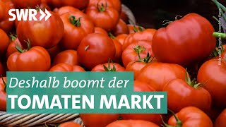 Das Geschäft mit Tomaten  Marktcheck SWR [upl. by Hamlani]