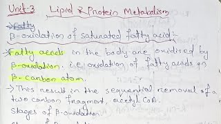 Lipid and Protein Metabolism Unit 3 Semester 4 paper 10 bsczoology biochemistry [upl. by Eenel]