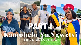 PART 1 Kamohelo Ya Ngwetsi  Welcoming Of The Bride Ceremony Vlog  Ndebele Sesotho Makoti Diaries [upl. by Ikila]