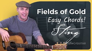 How to play Fields Of Gold by Sting  Easy Guitar [upl. by Eimar39]