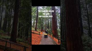 Center Parcs  Longleat 🌲 holiday October autumn forest longleat centerparcs pancakehouse [upl. by Dyl]