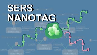 SERS Nanotag [upl. by Brahear]