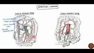 Mesenteric Ischemia Ischemia Bowel and Colonic Ischemia for USMLE Step 2 [upl. by Itram]