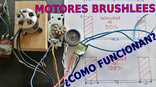 COMO FUNCIONA UN MOTOR SIN ESCOBILLASBRUSHLEES [upl. by Llehcam]