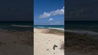 Beach  Cayman Life [upl. by Alidis]