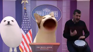 Pop Cat becomes new USA president [upl. by Akinek373]