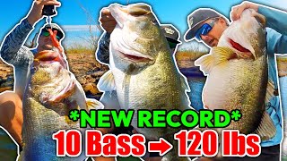 I Caught 10 Bass Weighing 120 POUNDS New Record [upl. by Gnilrets]