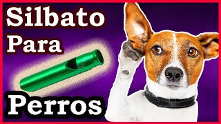 Silbato para perros  Sonido ultrasónico para perros [upl. by Lillith]