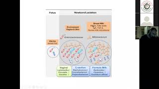 Necrotizing Enterocolitis in newborn [upl. by Gladine]