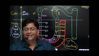 counter current mechanism by md sir human excratery system [upl. by Adriaens]