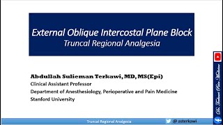 External Oblique Intercostal Plane Block [upl. by Aihsenek]