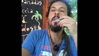 Jews harp techno sound 2 [upl. by Irrehs570]