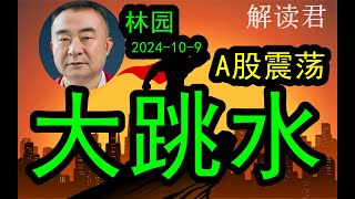 【重要分析】林园紧急更新！A股暴跌大跳水！市场剧烈震荡，不稳！！（2024109）这一波行情已经结束了 后续会上涨还是暴跌？下一步如何决策？中国经济 [upl. by Magavern]