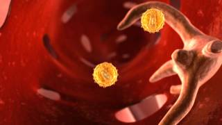 Gene Therapy 2011  University of Amsterdam  Cortical Studios  MoA Animation [upl. by Annaegroeg718]