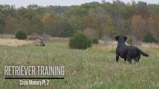 Circle Memory Part 2 Labrador Retriever Training [upl. by Atnauqahs481]