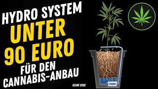 Kann man ein HydroponikSystem für den Cannabisanbau unter 90 Euro bekommen und funktioniert es [upl. by Aleka935]