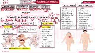 ANOMALÍAS CONGÉNITAS NEONATOLOGIAENAM 2020 [upl. by Nehtanhoj]