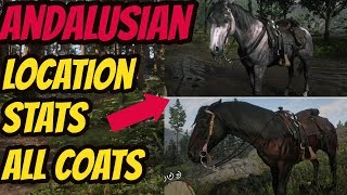 Red Dead Redemption 2 Andalusian HORSE LOCATION amp ALL COATS amp STATS GOOD HORSE GUIDE [upl. by Rheingold]