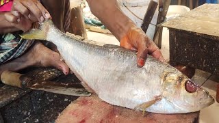 Amazing Fish Cutting Skills In Bangladesh Local Fish Market Fire Fish Cutting Bangladesh [upl. by Relda]