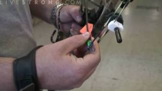 How to Shoot a Compound Bow [upl. by Hephzibah]