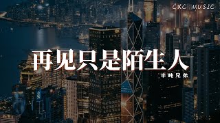 半吨兄弟  再见只是陌生人【动态歌词  Lyrics】 「爱过你就当你是错的人」 [upl. by Nera]