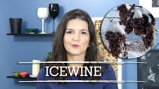 Icewine  Eiswein O vinho do gelo  Marcia Anholeti [upl. by Omsare]