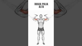 Rosca Polia Alta [upl. by Spear]