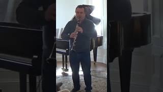 Carmen Fantasy for Clarinet by Sarasate Baldeyrou shorts clarinet [upl. by Notsa]