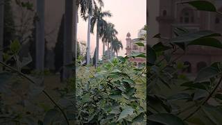 Tomb of Safdarjung historicalplacedelhi​ coupleplacedelhi​ safdarjungtombhistory​ [upl. by Alya]