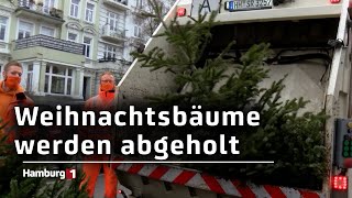 Stadtreinigung holt Weihnachtsbäume ab Das sind die Termine für ihren Stadtteil [upl. by Enert832]