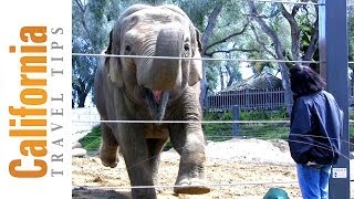 Santa Barbara Zoo Travel Guide  Things to Do in Santa Barbara  California Travel Tips [upl. by Vida]