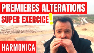 Comment faire une Altération avec votre Harmonica [upl. by Aikemal]