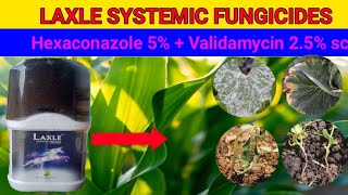 Laxle systemic fungicideshexaconazole 5  validamycin 25 sc  full information [upl. by Aeht]